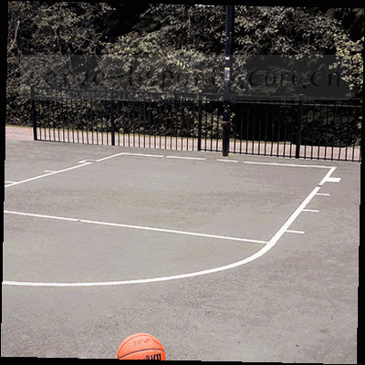 齿轮与箭头组合的BSPORTS版本更新图标
